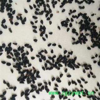 安祁名药正品黑种草子  优质新货图2