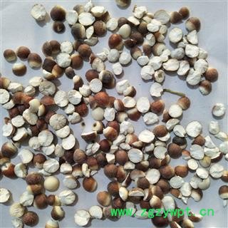 芡实 芡实对瓣0.8 产地 广东省图3