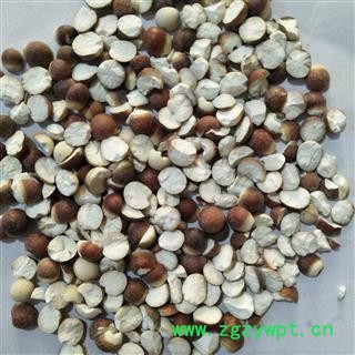 芡实 芡实对瓣0.8 产地 广东省图2