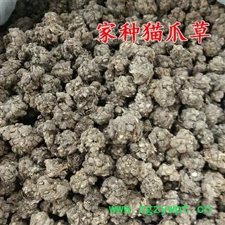 猫爪草 野生猫爪草 产地 河南省信阳市 买好药找娟子图4