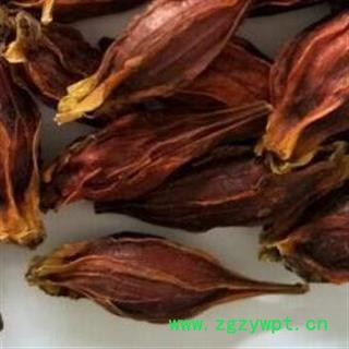 中药材水栀子别名雀舌栀子花 产地广西 品种齐全 安国市场批发零售大全图2