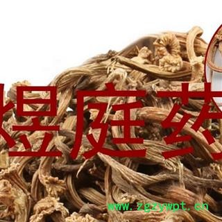 煜庭药业 苦丁香 甜瓜蒂 甜瓜把 瓜蒂图2