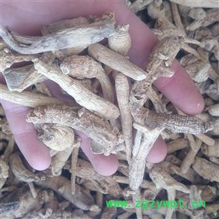 西洋参个 西洋参投料 产地 吉林省白山市图3