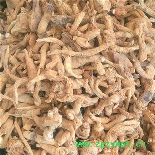 西洋参个 西洋参投料 产地 吉林省白山市图2