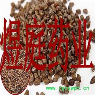 煜庭药业 决明子 炒决明子 炒决明籽图2