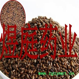 煜庭药业 决明子 炒决明子 炒决明籽图4