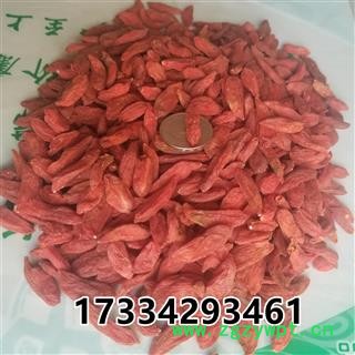 枸杞 枸杞子大粒 颜色纯正   产地 宁夏回族自治区图4