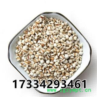 薏仁米 贵州薏米仁 薏米 苡米 苡仁 中药材图2