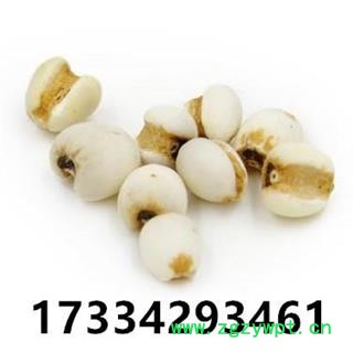 薏仁米 贵州薏米仁 薏米 苡米 苡仁 中药材图4