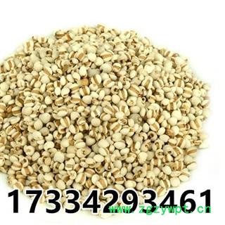 薏仁米 贵州薏米仁 薏米 苡米 苡仁 中药材图3