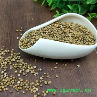 香菜籽子芫荽籽胡荽籽芫茜子香菜子粉炒菜品提/鲜增/香调味图3