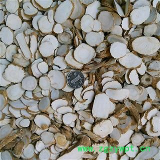 白芷片 统装 产地 安徽省亳州市谯城区图2