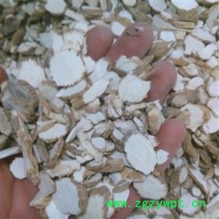 白芷片1000克促销批发 小统片 产地 安徽省亳州市谯城区 大货批发价图2