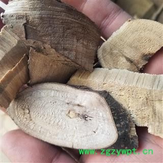 豆豉姜 别称 木浆子根 澄茄根 木姜子根 过山香 满山香 山苍子根图4