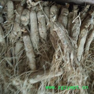 人参个1000克促销批发价 生晒参山参白参，60只1千克 产地 吉林省白山市抚松县 大货批发价图2