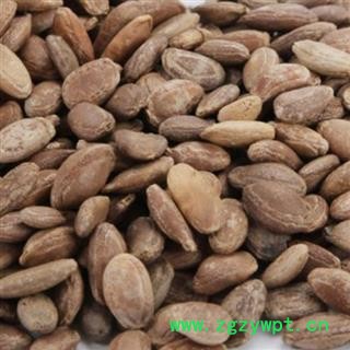 瑞森药材行瓜蒌仁 双边瓜蒌子统货籽仁饱满 产地 河北省图2