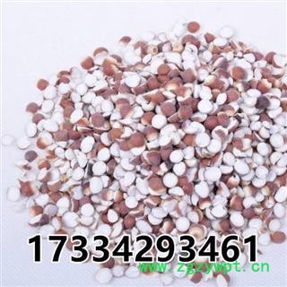 芡实 芡实片  芡实米 鸡头米 中药材供应图2