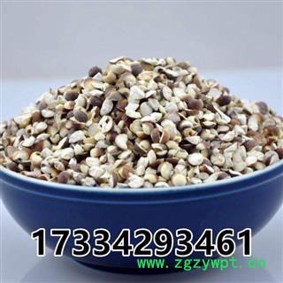 芡实 芡实片  芡实米 鸡头米 中药材供应图3