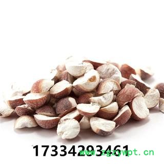 芡实 芡实片  芡实米 鸡头米 中药材供应图4