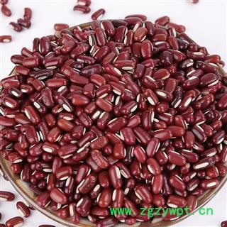 瑞森药材行赤小豆符合药典非红豆色选净货可供饮片厂药厂图2