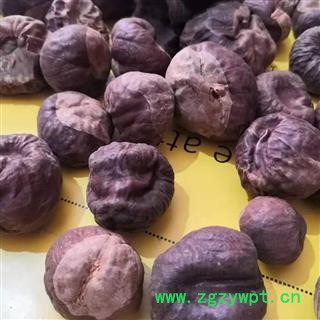 诺源药材行 娑罗子 索萝子 苏罗子 天师栗 娑婆子图2