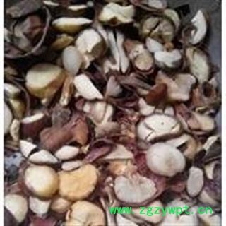 诺源药材行 娑罗子 索萝子 苏罗子 天师栗 娑婆子图4