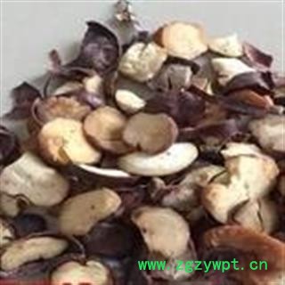 诺源药材行 娑罗子 索萝子 苏罗子 天师栗 娑婆子图3