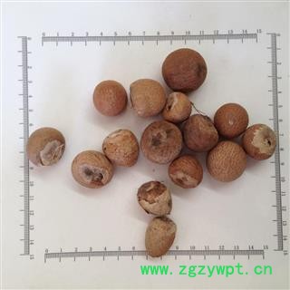 诺源药材行槟榔 槟榔个 槟榔球图2