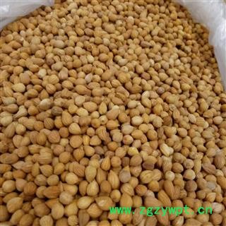 诺源药材行郁李仁  优质新货图2