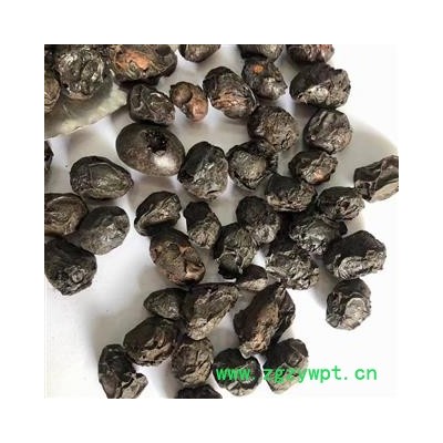 诺源药材行中药材广枣 南酸枣