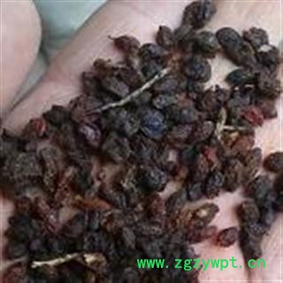 诺源药材行中药材正品新疆特产沙棘果 沙棘果干图2