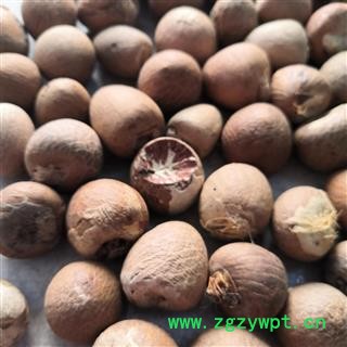 安祁名药槟榔  槟榔个 多种规格图2