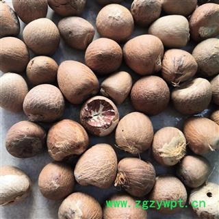 安祁名药槟榔  槟榔个 多种规格图3