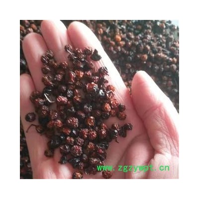 安祁名药西五味 南五味子