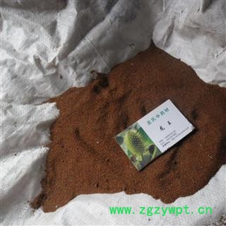 葶苈子 统 产地 四川省成都市双流县图2