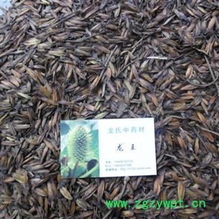 喜树果 好统货 产地 四川省成都市双流县 库存 600千克可售图2