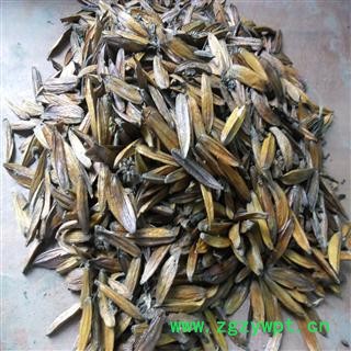 喜树果 好统货 产地 四川省成都市双流县 库存 600千克可售图3