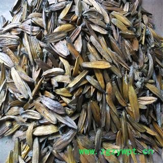 喜树果 好统货 产地 四川省成都市双流县 库存 600千克可售图4