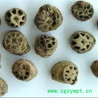 藕节 藕节 选 产地 湖南省 批发零售各种规格中药材 花茶 代加工超细粉 娟子中药图3