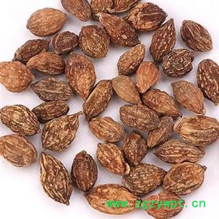 龙眼肉 益智统货 产地 海南省图2