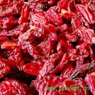 中药材山萸肉 各种规格 本品是当季纯天然野生山萸肉 个大肉厚精挑细选 无杂质 无硫无农药残留 无任何人为添加 品质有保证 安国中药材批发零售大全图3