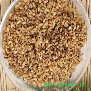 煜庭药业 柏子仁 去壳图3