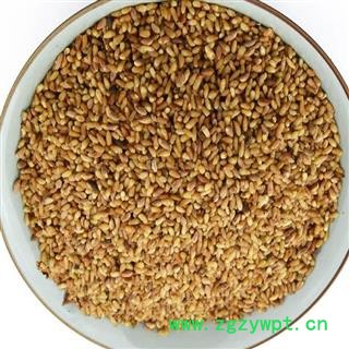 煜庭药业 柏子仁 去壳图2