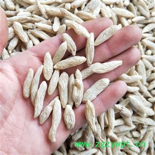 麦冬个 川麦冬精选超特级90 产地 四川省绵阳市图2