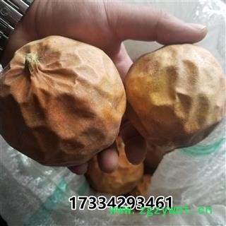 瓜蒌 瓜蒌个整个瓜蒌今年新货图4
