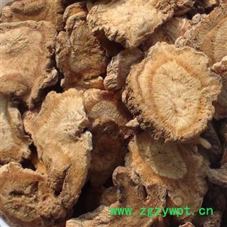 防风 片1000克促销批发选装防风大片 产地 陕西省图2