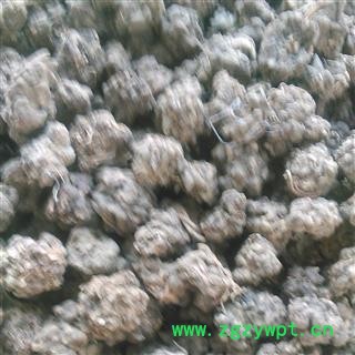 猫爪草 野生猫爪草产地直销大货批发价 产地 安徽省图2