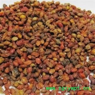 瑞森药材行沙棘 沙棘果今年新货手工挑选图2