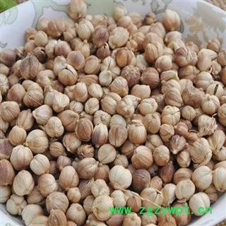 瑞森药材行白豆蔻白寇 广西 中药香料 白豆蔻 产地货源无硫 新货图2