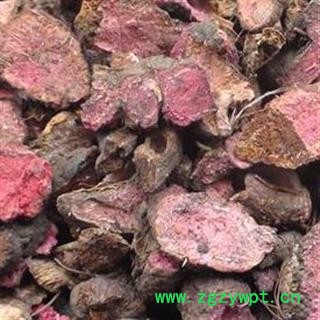 草河车片1000克促销批发价拳参 大统 产地 云南省保山市隆阳区 大货批发价图2